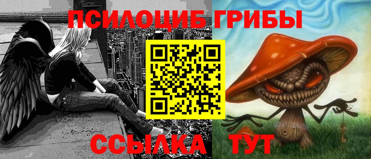 Галлюциногенные грибы Magic Shrooms  Вход с VPN  Тосно  Галлюциногенные грибы Psilocybine cubensis 