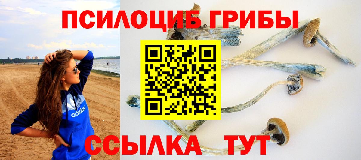 Галлюциногенные грибы Magic Shrooms Тосно